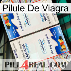 Viagra Pill kamagra1